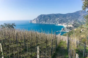 trilha cinque terre